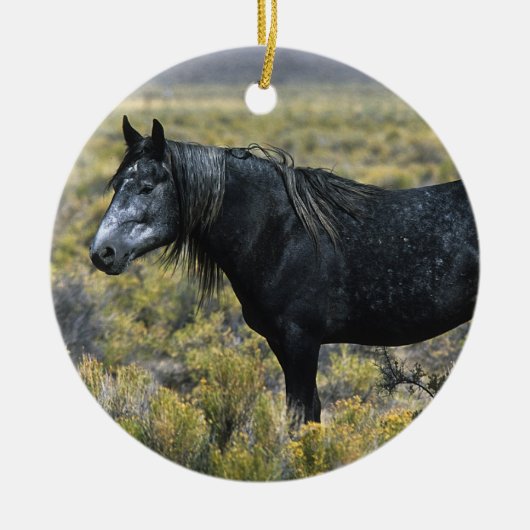 Wild Mustang Paard in de woestijn Keramisch Ornament (Voorkant)