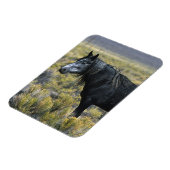 Wild Mustang Paard in de woestijn Magneet (Linkerzijde)