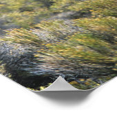 Wild Mustang Paard in de woestijn Poster (Hoek)