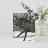 Wild Mustang Paard in sneeuw 2 Briefkaart (Staand voorkant)