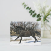 Wild Mustang Paard in sneeuw 2 Briefkaart (Staand voorkant)