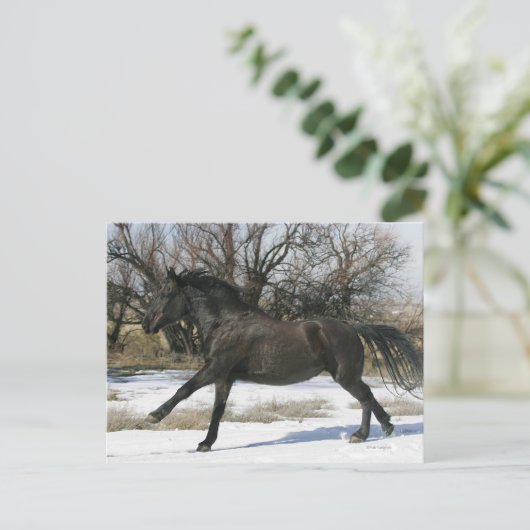 Wild Mustang Paard in sneeuw 2 Briefkaart (Staand voorkant)