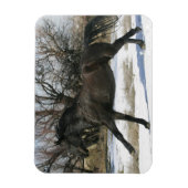 Wild Mustang Paard in sneeuw 2 Magneet (Verticaal)