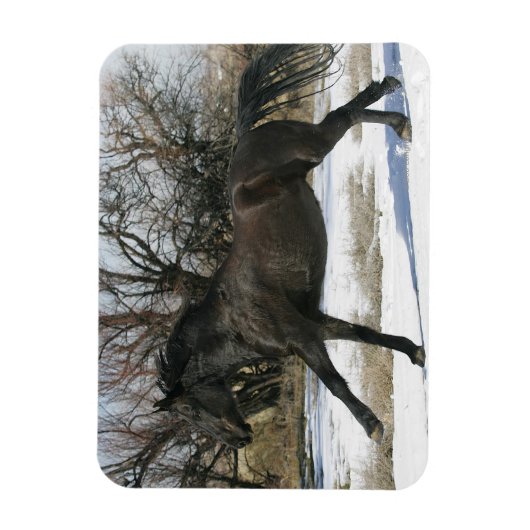 Wild Mustang Paard in sneeuw 2 Magneet (Verticaal)