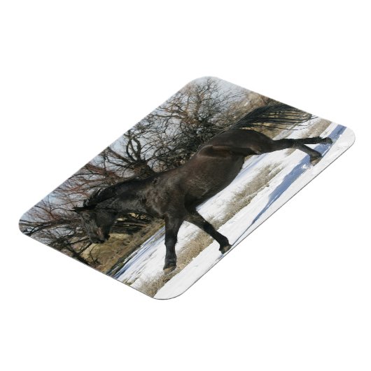 Wild Mustang Paard in sneeuw 2 Magneet (Linkerzijde)