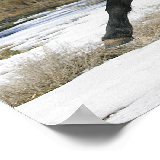 Wild Mustang Paard in sneeuw 2 Poster (Hoek)