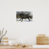 Wild Mustang Paard in sneeuw 2 Poster (Keuken)