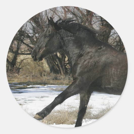 Wild Mustang Paard in sneeuw 2 Ronde Sticker (Voorkant)