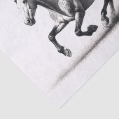 Wild Mustang Paard Zwart-wit Decoupage Tissuepapier (Detail)