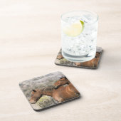 Wild Mustang Paarden die aanraken Bier Onderzetter (Rechterzijde)