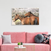 Wild Mustang Paarden die aanraken Canvas Afdruk (Insitu (Woonkamer))