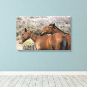 Wild Mustang Paarden die aanraken Canvas Afdruk (Insitu (Houten vloer))