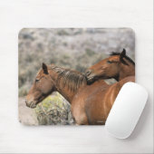 Wild Mustang Paarden die aanraken Muismat (Met muis)