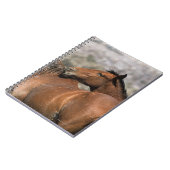 Wild Mustang Paarden die aanraken Notitieboek (Linkerzijde)