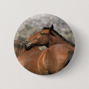 Wild Mustang Paarden die aanraken Ronde Button 5,7 Cm