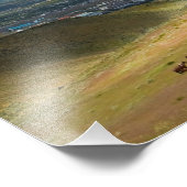 Wild Mustang Paarden van Carson City, Nevada Foto Afdruk (Hoek)