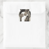Wild Mustang Paint Horse Stallion Picasso Stickers (Tas)