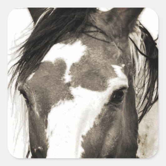 Wild Mustang Paint Horse Stallion Picasso Stickers (Voorkant)