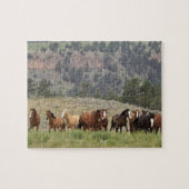 Wild Mustang Puzzle met Gift Box Legpuzzel (Horizontaal)