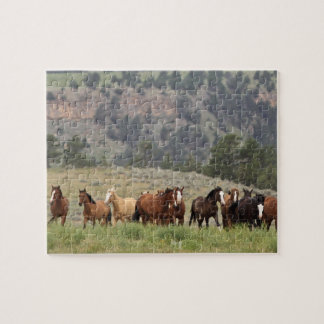 Wild Mustang Puzzle met Gift Box Legpuzzel