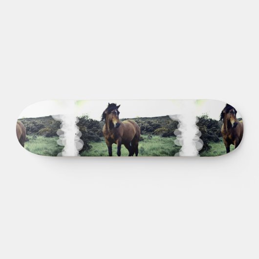 Wild Mustang Skateboard (Horizontaal)