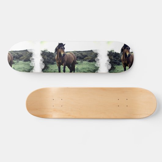 Wild Mustang Skateboard (Horizontaal)