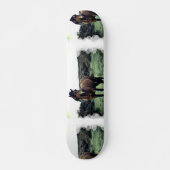 Wild Mustang Skateboard (Voorkant)
