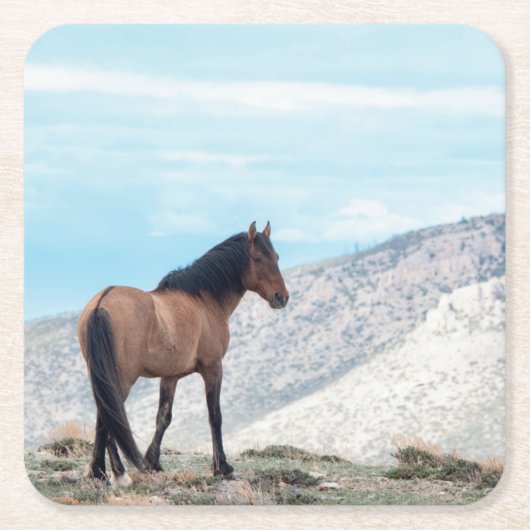 Wild Mustang Stallion Kartonnen Onderzetters (Voorkant)