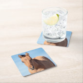 wild mustang veulen kartonnen onderzetters (Insitu)