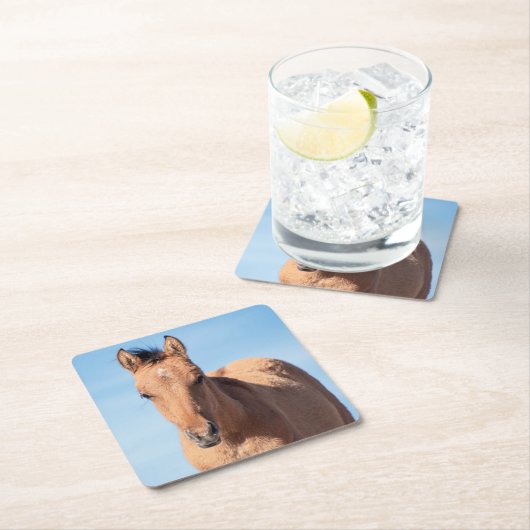 wild mustang veulen kartonnen onderzetters (Insitu)