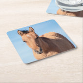 wild mustang veulen kartonnen onderzetters (Schuin)