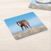 wild mustang veulen kartonnen onderzetters (Schuin)