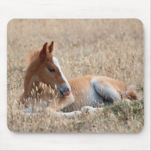 wild mustang veulen muismat