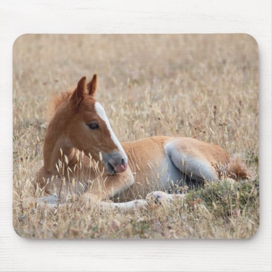 wild mustang veulen muismat (Voorkant)