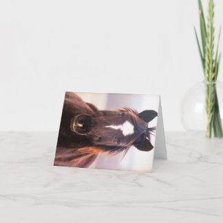 Wild Mustange Oklahoma Bedankkaart