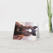 Wild Mustange Oklahoma Bedankkaart (Voorkant)