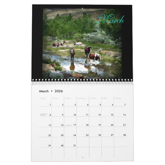 Wild Mustangs 2017 Kalender (Mar 2026)