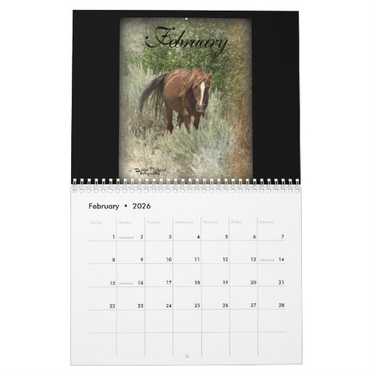 Wild Mustangs 2017 Kalender (Feb 2026)