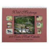 Wild Mustangs 2017 Kalender (Hoes)