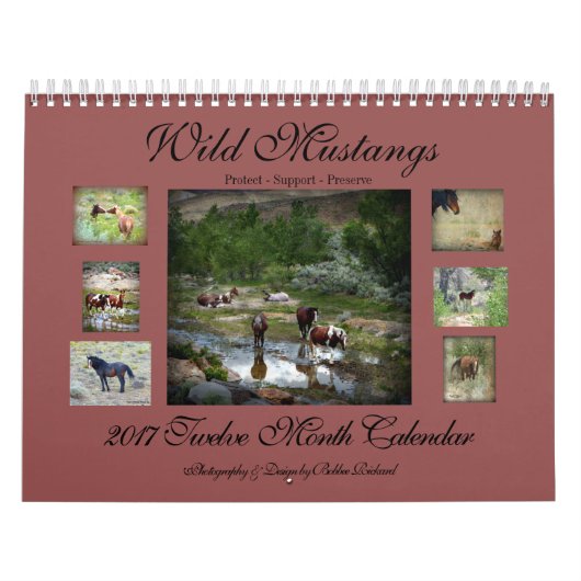 Wild Mustangs 2017 Kalender (Hoes)