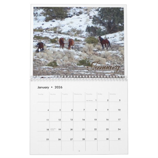 Wild Mustangs 2017 Kalender (Jan 2026)