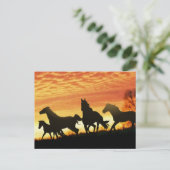 Wild Mustangs Briefkaart (Staand voorkant)