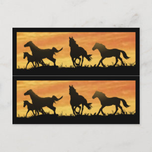 Wild Mustangs Briefkaart