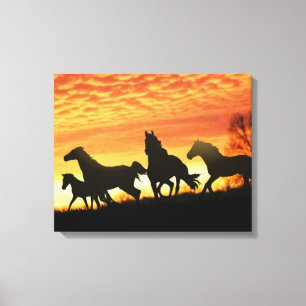 Wild Mustangs Canvas Afdruk