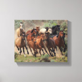 Wild Mustangs Canvas Afdruk (Voorkant)