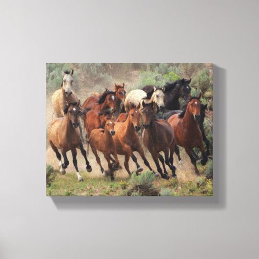 Wild Mustangs Canvas Afdruk (Voorkant)
