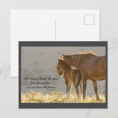 Wild Mustangs Forever Briefkaart (Voorkant / Achterkant)
