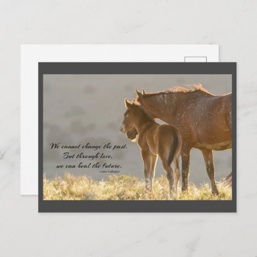 Wild Mustangs Forever Briefkaart (Voorkant / Achterkant)