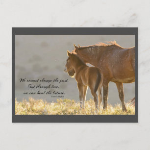 Wild Mustangs Forever Briefkaart