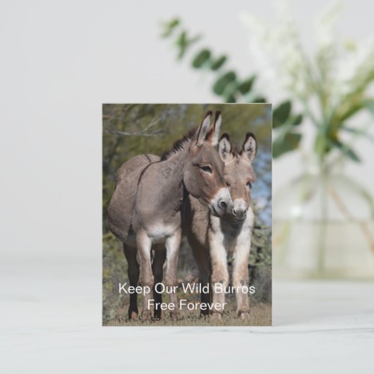 Wild Mustangs Forever Briefkaart (Staand voorkant)
